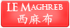 Le Maghreb Chandelier